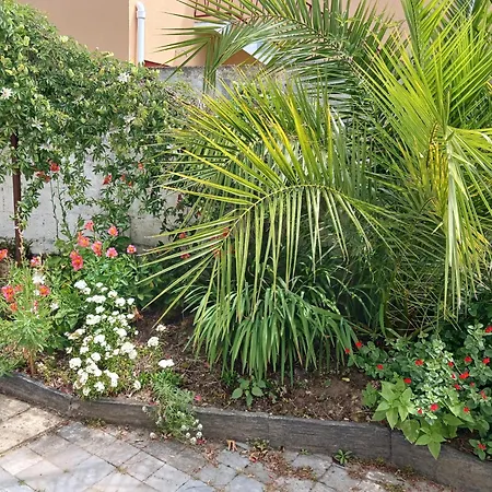 Maison Des Copains - Commerces A Pieds - Jardin Clos *